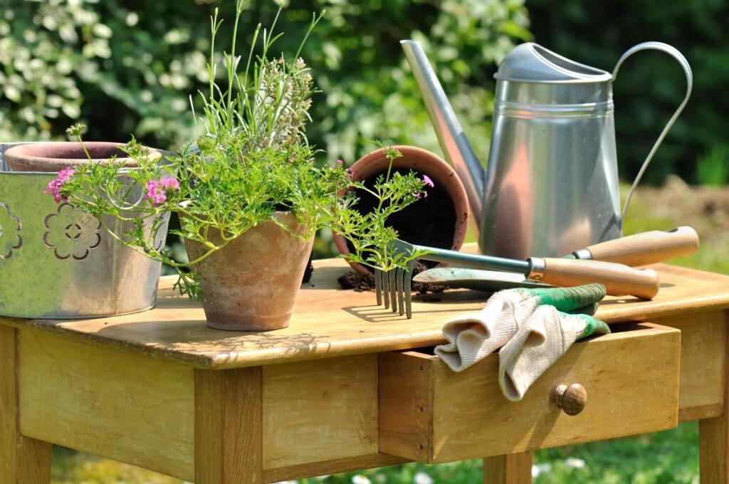 Ein Garten mit saisonalen Möbeln und Blumen