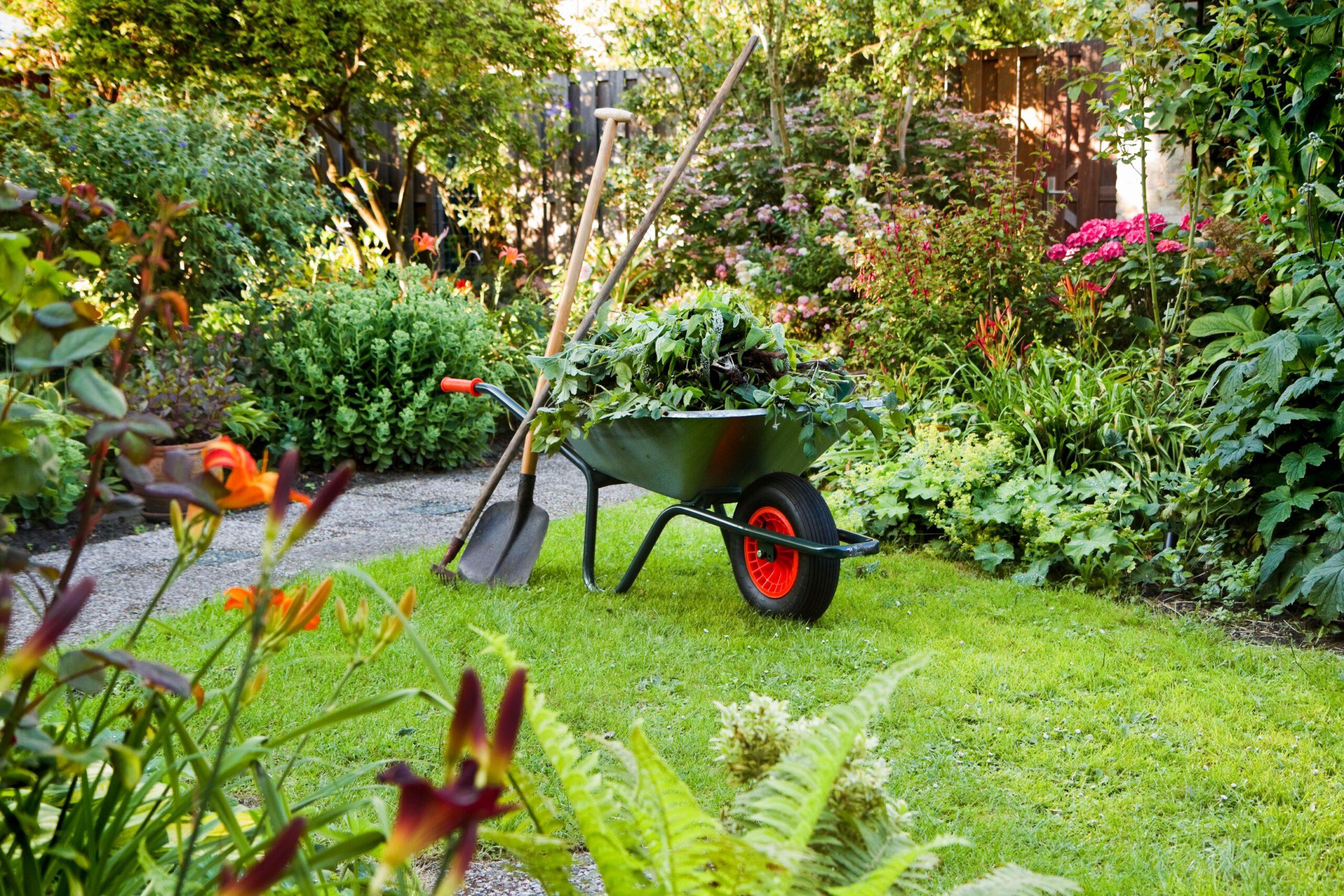 Ein Garten mit verschiedenen Blumen und Gartenwerkzeugen 