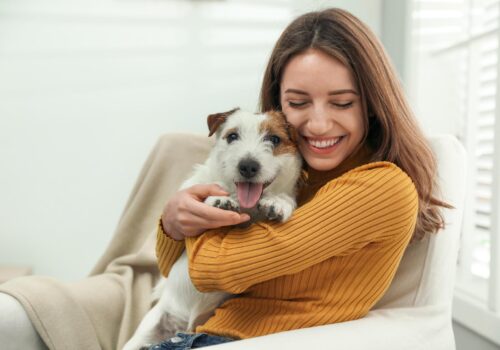 Alltagsprobleme, die man als Hundehalter clever lösen kann